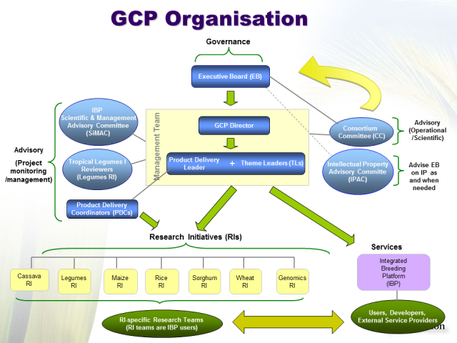 GCP-organisation-web