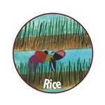rice-circle-web