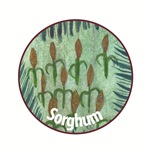 sorghum-circle-web