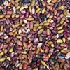 Beans photo: N Palmer/CIAT