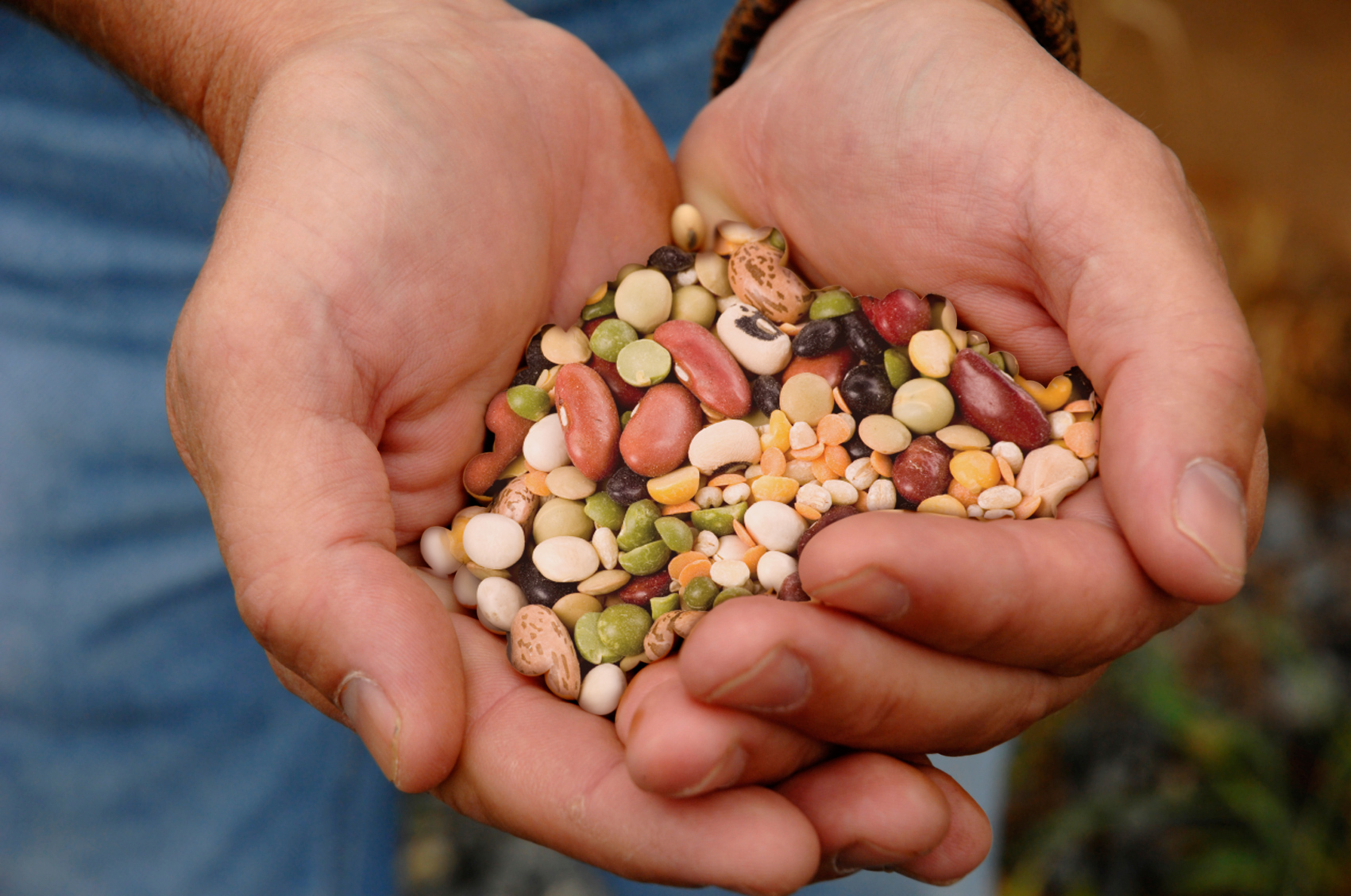 mix legumes