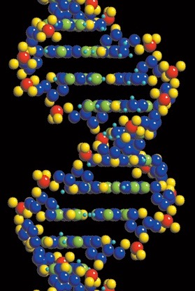 dna