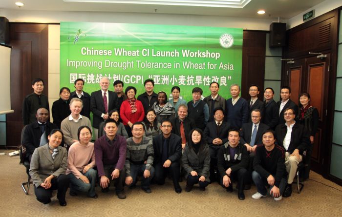 Participants at the China Wheat RI launch meeting