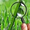 Magnifying-glass-square-100