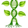 plant-dna-square-100