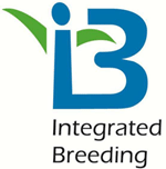 ibp-logo