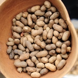 Groundnuts N.Palmer CIAT-square-160
