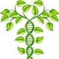 plant-dna-web-square