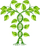 plant-dna-web